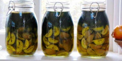 Tinktura mandžurskog oraha: recepti